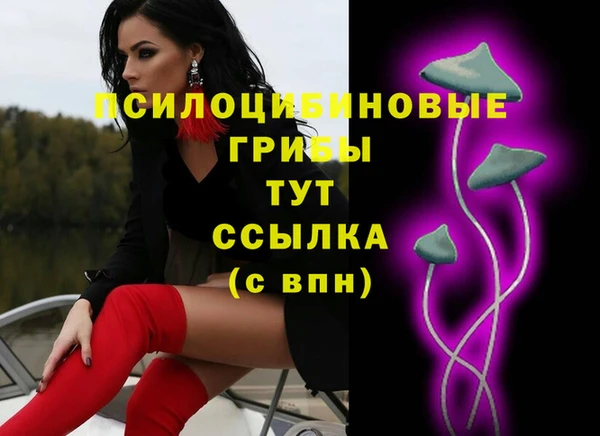 дживик Алексин