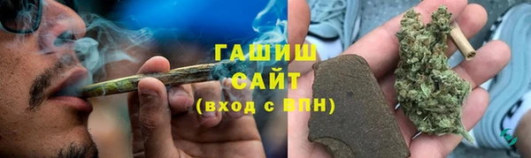 прущие грибы Алзамай