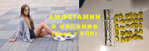прущие грибы Алзамай