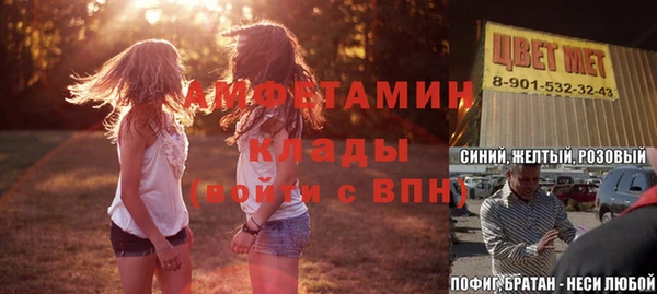 прущие грибы Алзамай