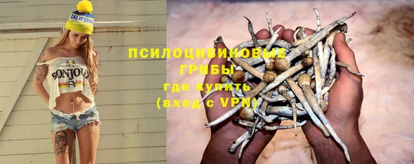 прущие грибы Алзамай
