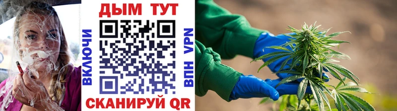 Канабис SATIVA & INDICA  даркнет сайт  Бежецк 